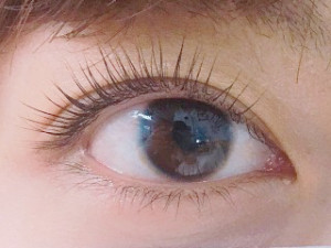 5e901bbd408ee4c6408b7b1a417a1924